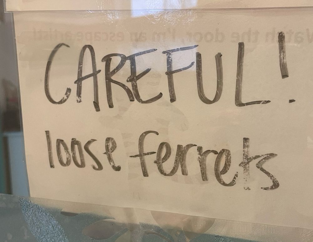 Handwritten sign that reads “careful: loose ferrets”