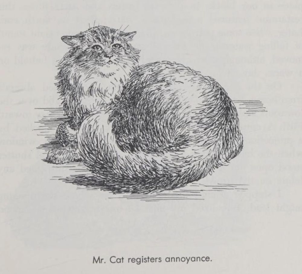 A black line illustration of a longhaired cat, lying curled up but looking at the viewer with ears flattened back. Text at the bottom reads "Mr. cat registers annoyance".