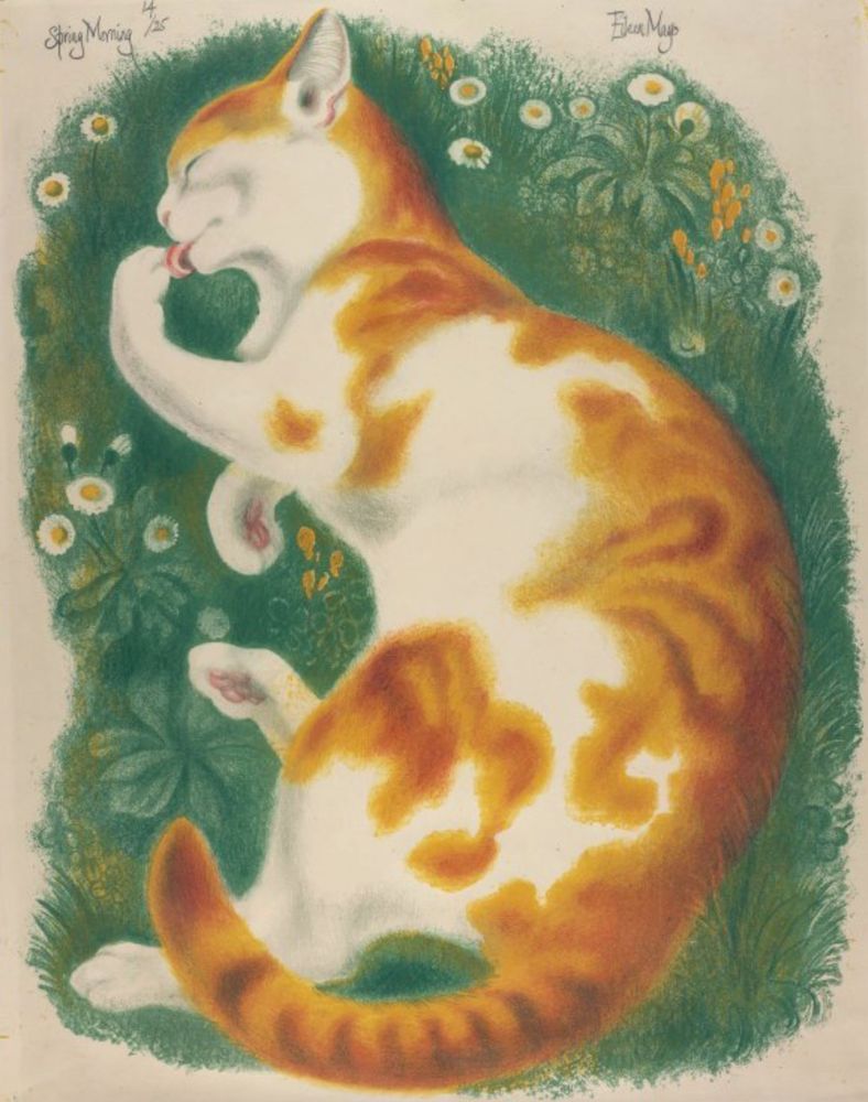 Beautiful, vibrant lithograph of a shorthaired white and ginger tabby cat lying on its side in a patch of grass and wildflowers, viewed from straight above. The cat is happily cleaning its left forepaw with its little pink tongue. The grass is vivid green dotted with white and yellow flowers, the cat's markings are wonderfully rich orange and brown swirls contrasting with the snowy white fur. And you can see little pink beans on two feet!