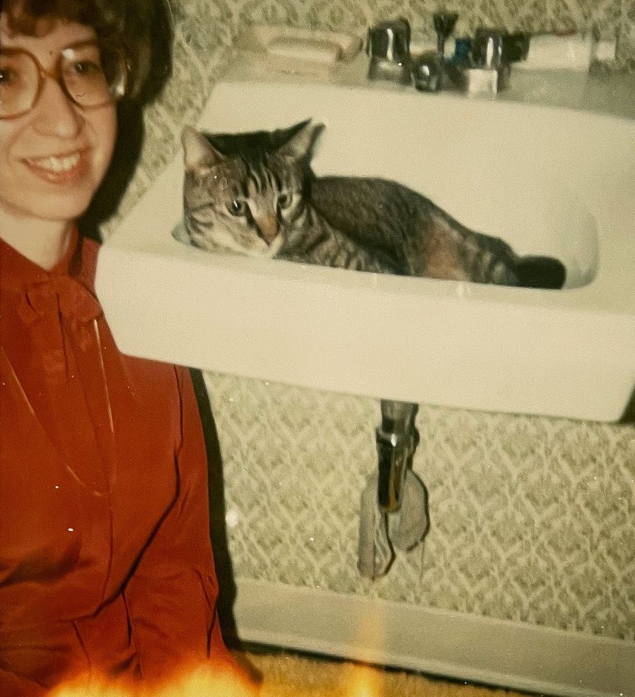 Color photo of a shorthaired tabby cat lying in a white porcelain sink. Next to the sink kneels a light skinned young women with a halo of curly hair and huge prescription glasses. She’s smiling and seems delighted by the whole scene.