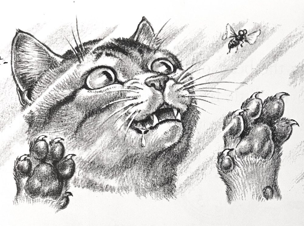 Very expressive, pencil or charcoal, drawing of a shorthaired, tabby, cat salivating and clawing at a fly through a glass window.