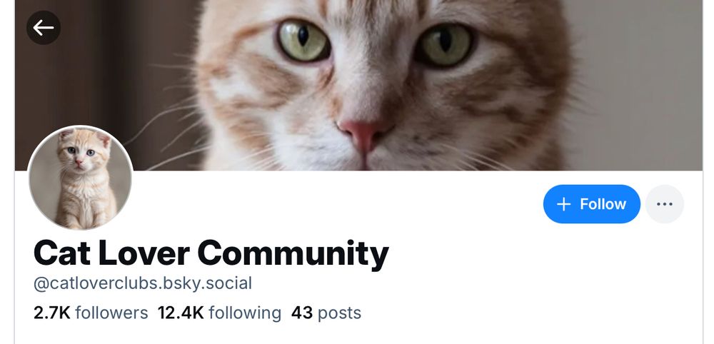 Screenshot of a bluesky account called "cat lover community".