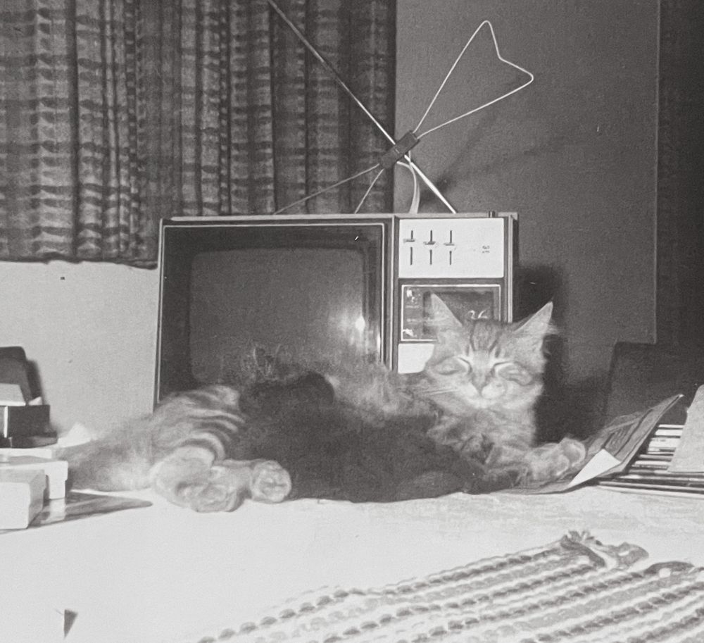 Black and white photo of a ginger tabby kitten sleeping in front of an old rabbit ear tv, with another, darker kitten asleep lying against him.