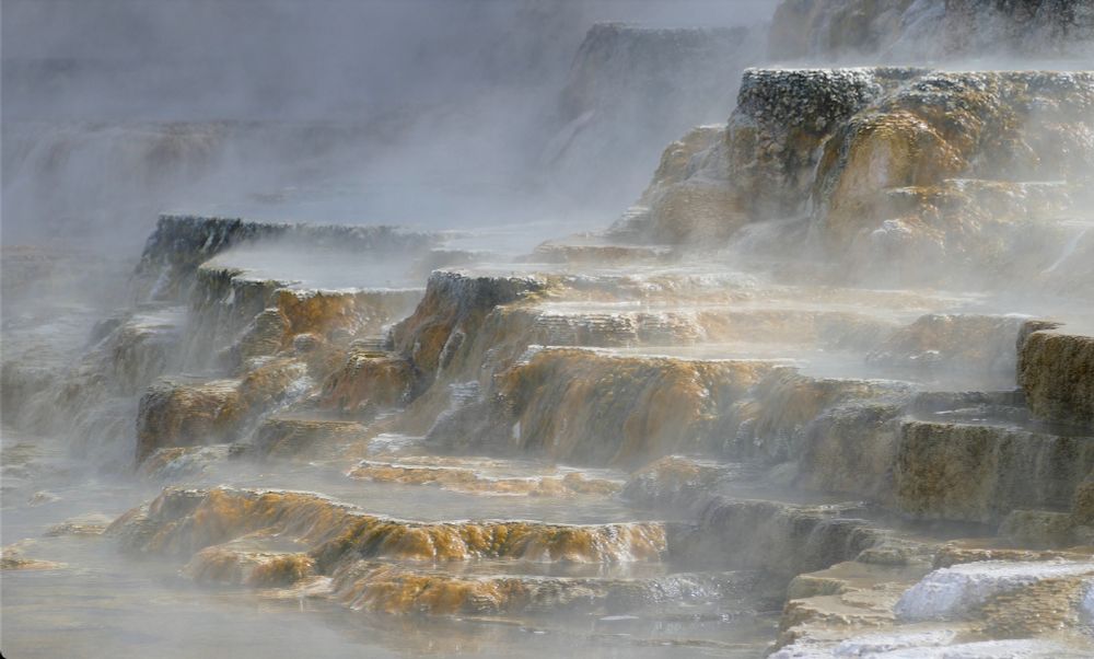 Cascading terraces at Mammoth Hot Springs 