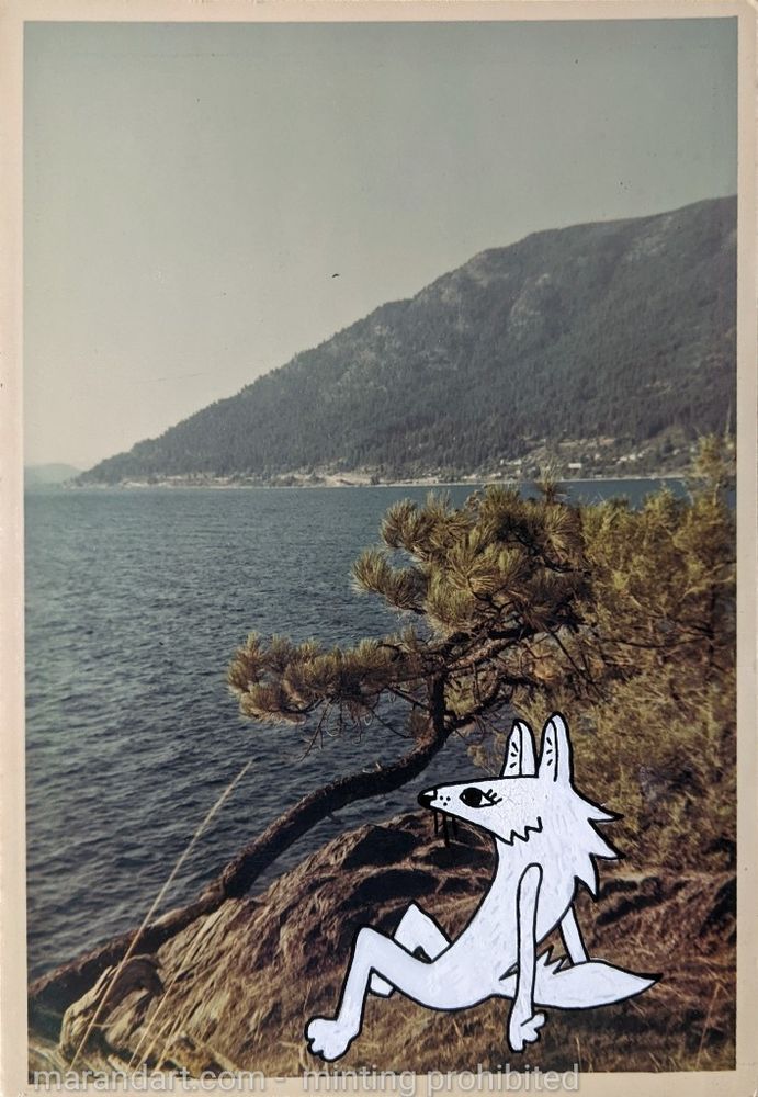 A photo of a windswept coastal scene where the artist has drawn in a little coyote character in white looking out over the ocean