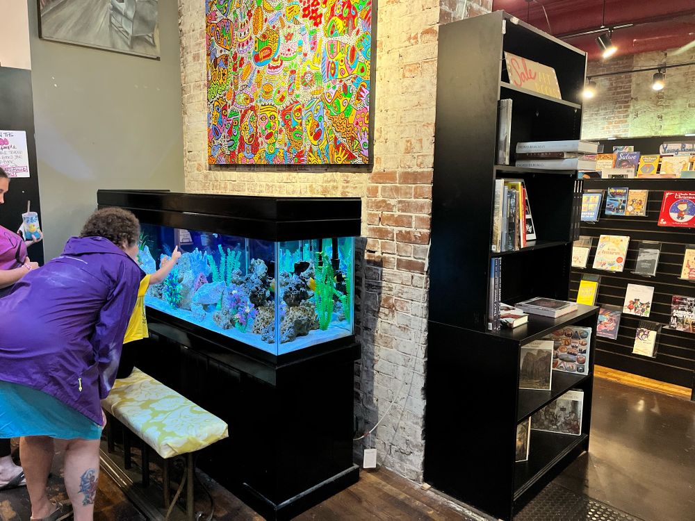 Interior shot of a bookstore. In addition to the usual racks of books, it includes a fish tank and a large abstract painting. Also one adult and one child pointing at and admiring the fish.