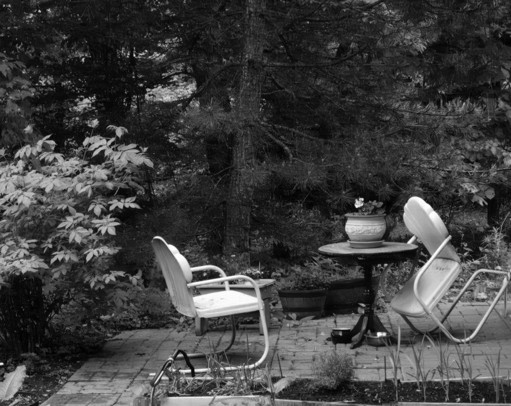 A black and white photo of a patio, two metal chairs, and a table with flowers. It is surrounded by a lush forest.