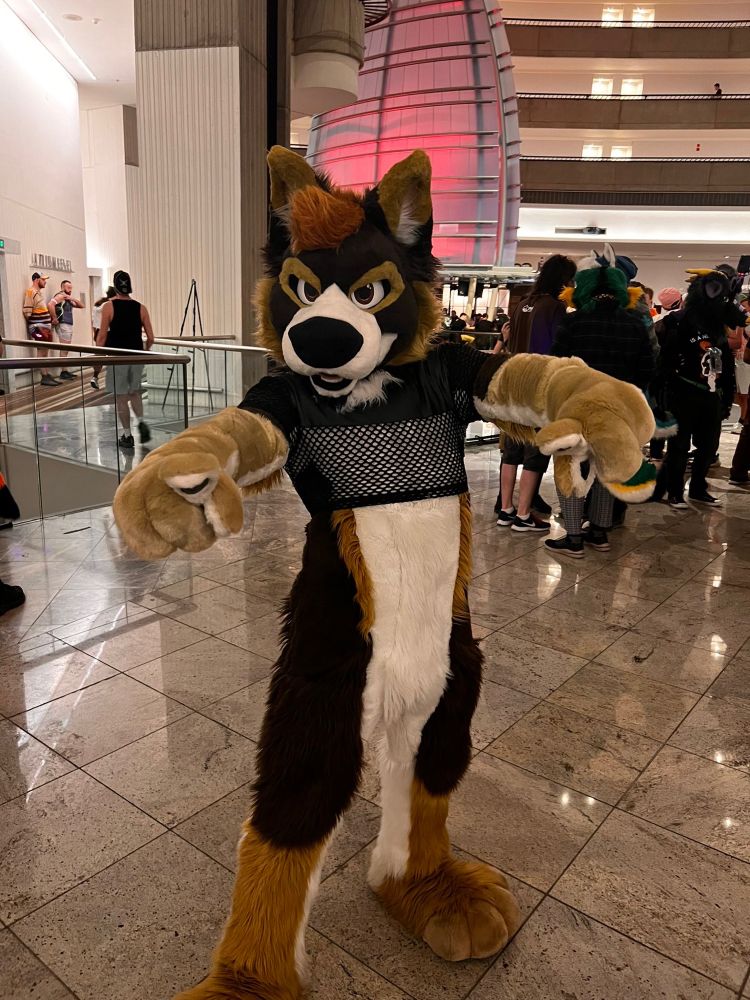 Brown, tan, and white husky/shepherd-mutt fursuiter wears a black mesh crop top in the lobby of the Marriott Marquis Atlanta, pointing at the viewer!
