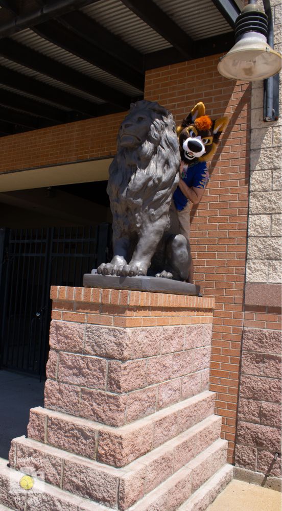 A dog fursuiter lurks behind a big statue of a lion, mounted on a marble pedestal. He’s wearing only his head, and his “human” skin is showing, as he’s wearing a short sleeved blue button down.