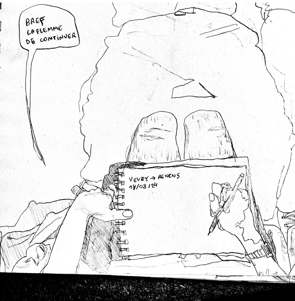 dessin noir et blanc pov dans le train en suisse. 14/08/2024