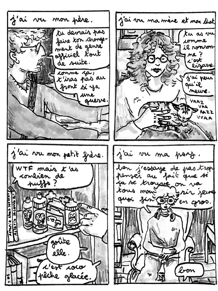case 3 : je dis "j'ai vu mon père." 
mon père qui conduit. il me dit "tu devrais pas faire ton changement de genre officiel tout de suite. comme ça, t'iras pas au front si y a une guerre." 
case 4 : "j'ai vu ma mère et mon chat". ma mère est assise sur le canapé, mon chat sur les genoux. elle le regarde et dit " tu as vu comme il ronronne ? c'est bizarre. j'ai peur qu'il meure."
case 5 : "j'ai vu mon petit frère." 
il me montre son étagère remplie de puffs. je lui demande "what the fuck, t'as combien de puffs?". il en désigne une et me dit "goûte elle. c'est coco pêche glacée."
case 6 : "j'ai vu ma psy." 
je suis assis sur un fauteuil élégant typique des cabinets de psy parisiens. je raconte " ben j'essaye de pas trop penser au fait que si ça se trouve on va tous mourir jeunes quoi fin en gros."
elle répond "bon."