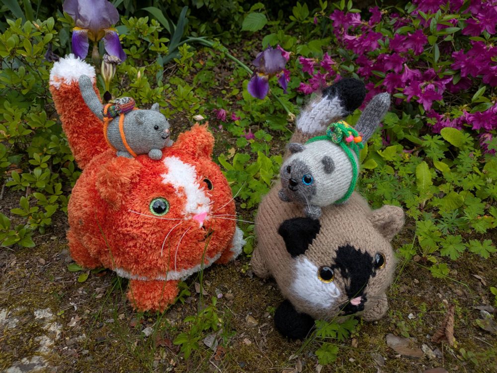 Knitted cats with little bags