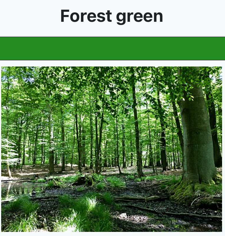 This web color, when written as computer code in HTML for website color display, is written in the form forestgreen (no space).
The first recorded use of forest green as a color name in English was in 1810.
Forest green is a representation of the average color of the leaves of the trees of a temperate zone deciduous forest.
