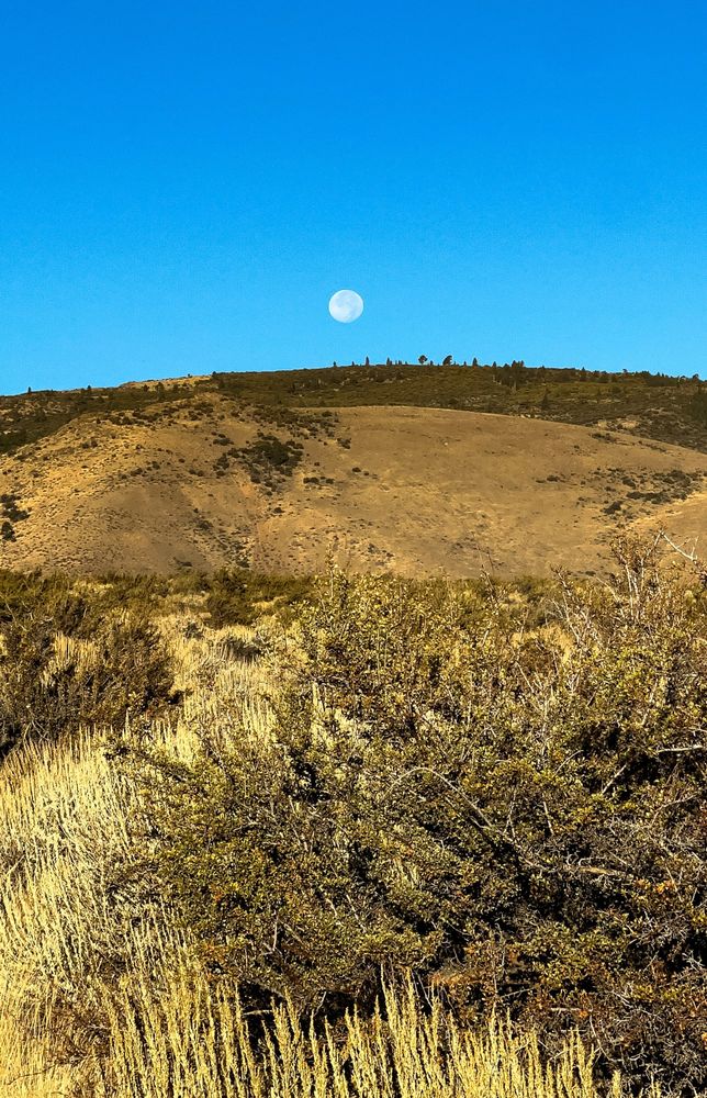 A waning moon just past full above a sagebrush landscape and a mountain ridge with some conifer trees. The sky is blue.