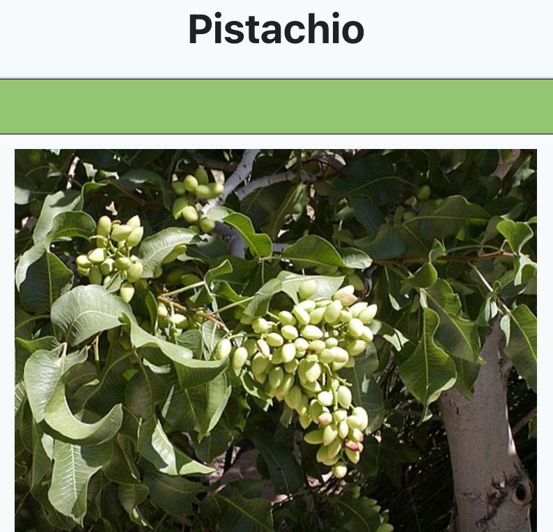 Pistachio is a dull yellowish-green color resembling the pistachio nut.