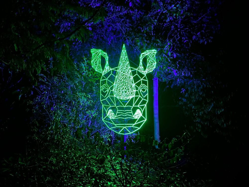 Green glowing geometric sculpture, depicting a rhino head. It is surrounded by trees and foliage. 
