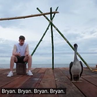 Mr besst calling an albatross brian
