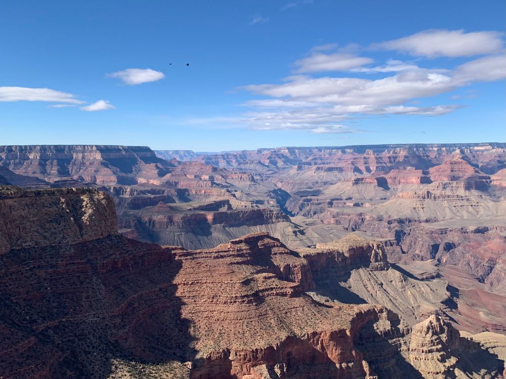A view of the Grand Canyon, showing brown covered layers.  Flat horizon with blue sky.