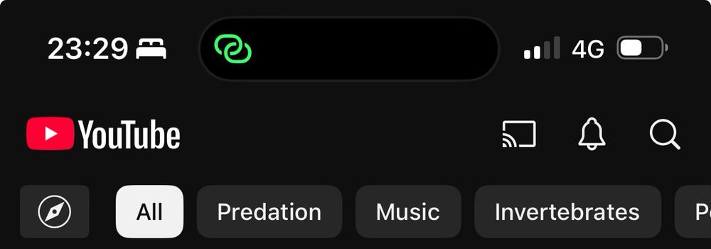A screenshot of YouTube suggesting that the following categories are my go-tos: Predation, Music, Invertebrates