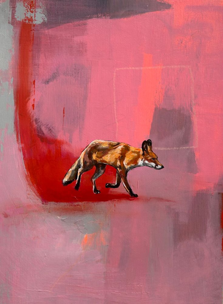 Red fox running along a pink abstract background 
