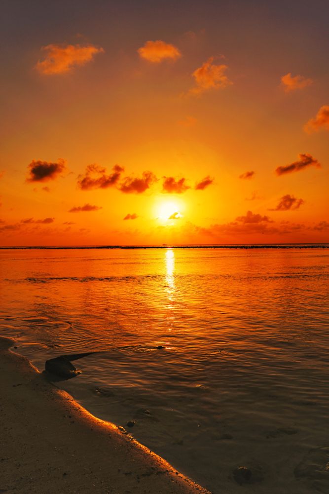 Hulhumalé, Maldives. Sunrise Golden Hour at the Hulhumalé 2nd Phase Beach. Looking at the rising sun at the shoreline. The shore line is lit reddish gold in a like at the point where the water meets the sand. The rising sun lights up both the sea and the sky in gold like a large bulb. The sea has a golden ray of sun running through it in a line. There are scattered clouds all around the sky. 