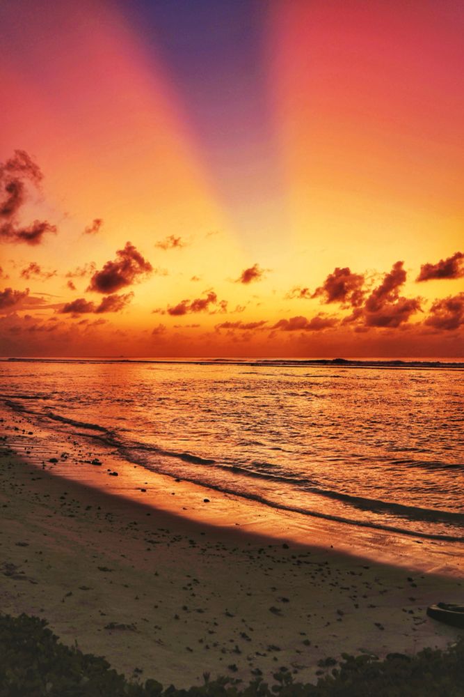 Hulhumalé, Maldives. Sunrise at the 2nd Phase beach. The foreground is some beach plants and a shoreline with small corals on the sand. While lagoon is lit up till the reef and the sea beyond is also golden. There is a scattering of clouds at the horizon. The whole sky is in gold and darkens slightly as it rises. In the middle of the golden sky is a streak of clear blue sky. 