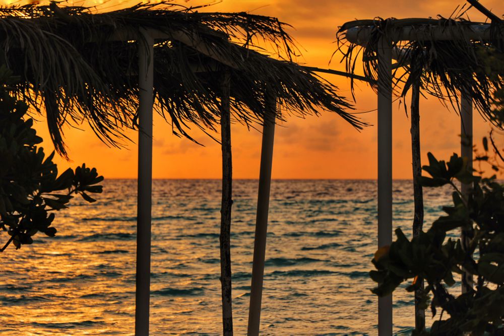Thulusdhoo, Maldives. Sunset Golden Hour on the Dream Beach. It is a secluded beach with four to five wooden huts with no walls and coconut leaf roofs right on the beach. Photo is taken from just behind two of the huts with them in silhouette. With the golden lagoon and the golden sky beyond it. 
