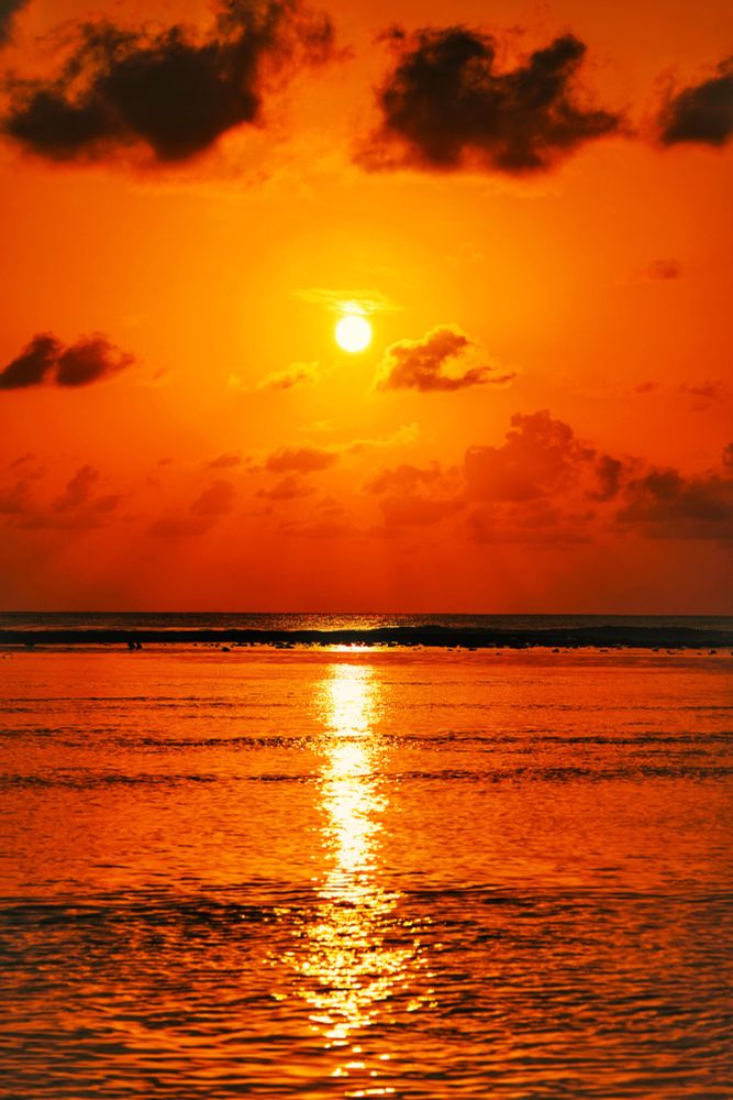 Hulhumalé, Maldives. Sunrise at the beach. The lagoon is simmering in tangerine in the foreground with a vertical line of gold running through the middle of the frame. Mid frame dark waves crash on the reef with corals out of the water due to low tide. The sea beyond it is also in a dark shade of blue with the line of gold extending till the horizon. Above it is scattered light clouds with the golden rays of the golden sun breaking through them. Above the sun are some darker clouds. The color of the sky is gold around the sun and then darkens to tangerine further it is from the sun. 