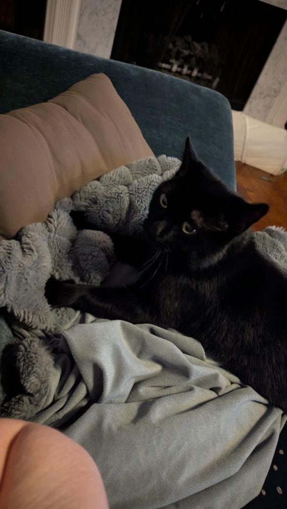 Black cat kneads a fluffy blanket on top of a pillow.  Really monopolizing all the comfortable parts of the couch.