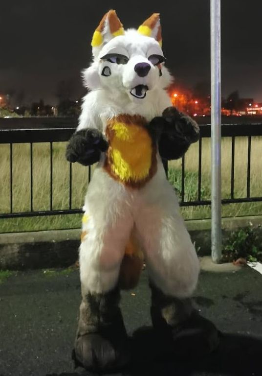 Photo of the full body fursuit striking a pose during the late evening.