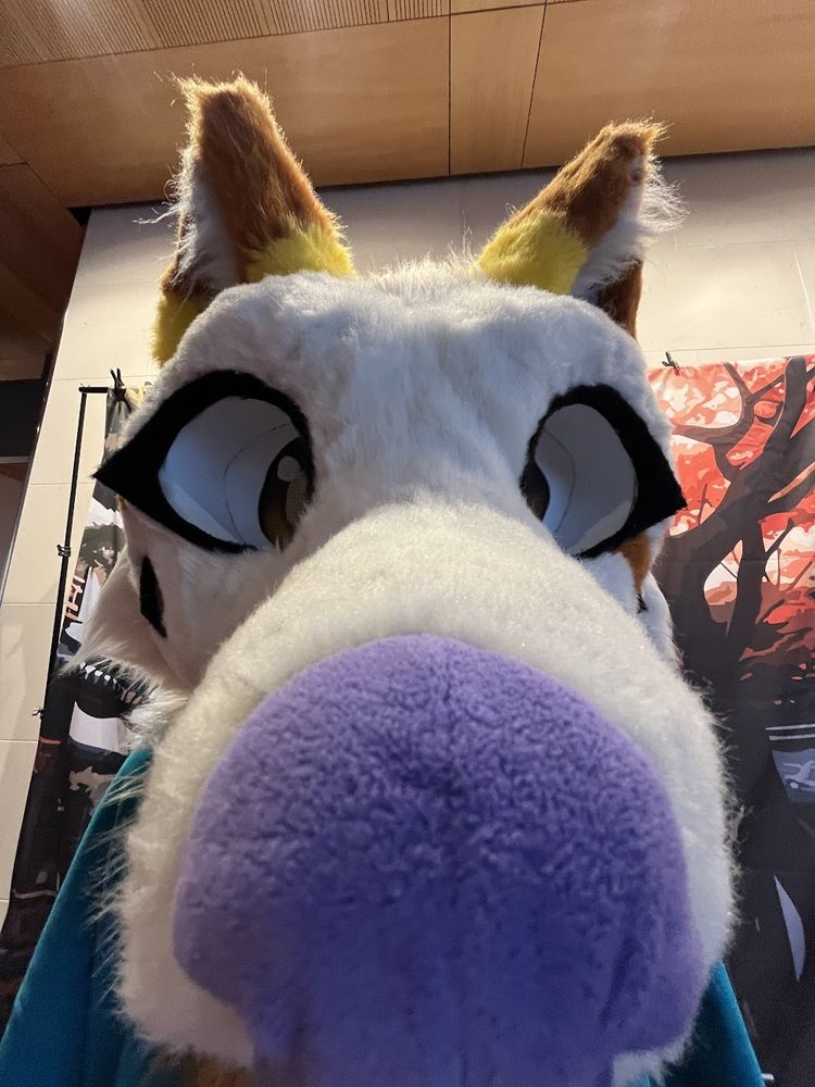 0.5 zoom photo, it is silly and shows the 1.5 suit version with the nose being the closest object to the camera lens. Very exaggerated proportions due to the angle and 0.5 zoom in. 