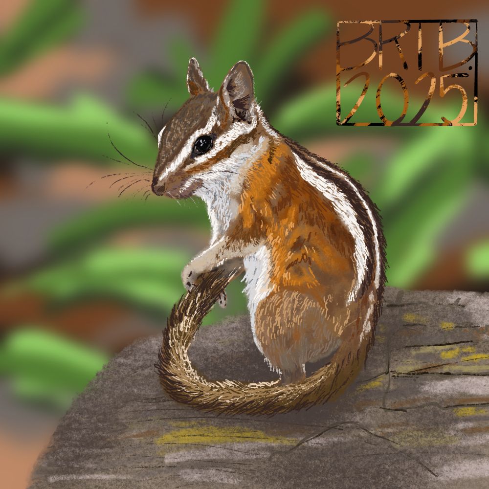 Digital painting of a Uinta Chipmunk. The chipmunk has a reddish brown coat with two visible white stripes down the back, separated by black stripes.
