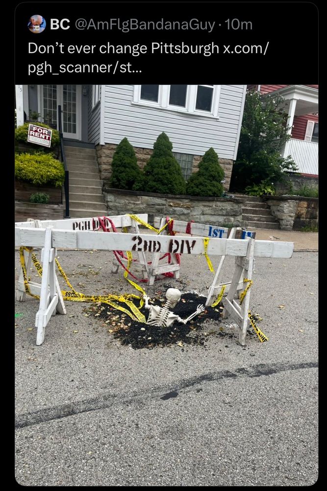 Avg city pot hole 