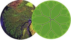 illustration de la dualité constructal / fractal avec une illustration représentative d’un système constructal (la photographie du bassin d’un fleuve et le design théorique du problème équivalent - à gauche, constructal.org)