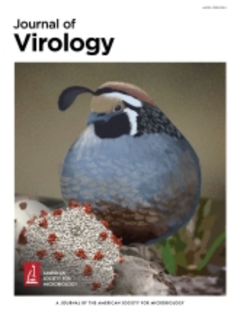 WNV and SLEV coinfection in avian and mosquito hosts: impact on viremia, antibody responses, and vector competence | Journal of Virology