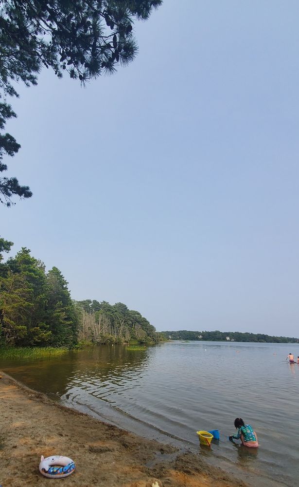 A freshwater pond, with trees and a bit of sandy beach on the left.  Two children are playing in the shallow water on the right foreground. 