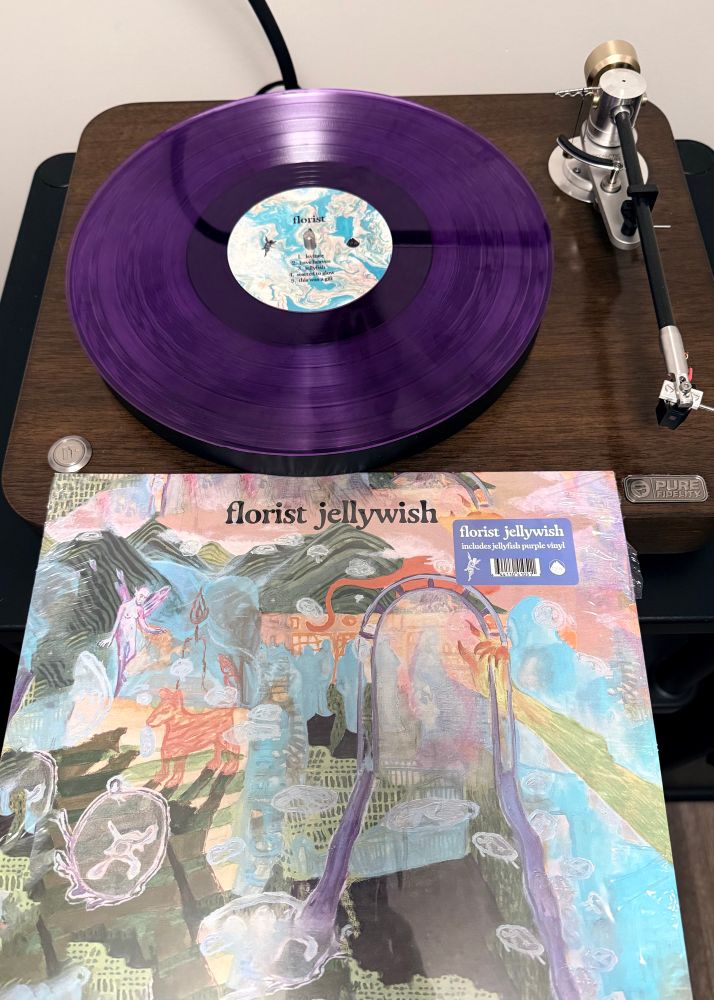 The vinyl LP “Jellywish” by the band Florist. 