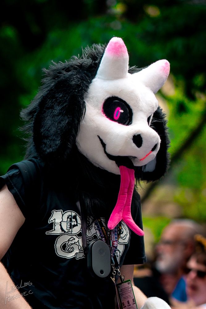 Photography of my fursuit, Domaru, at the 2024 Anthrocon fursuit parade.