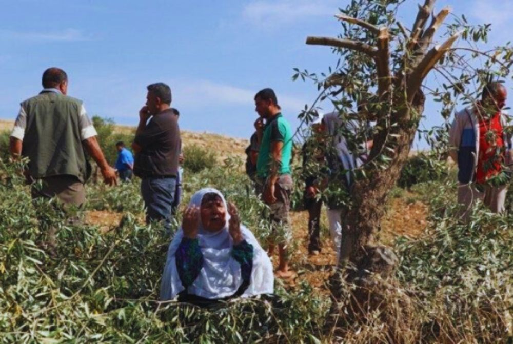 Cartography of Jewish Apartheid: Gaza and the West Bank, Two Fronts of Dispossession