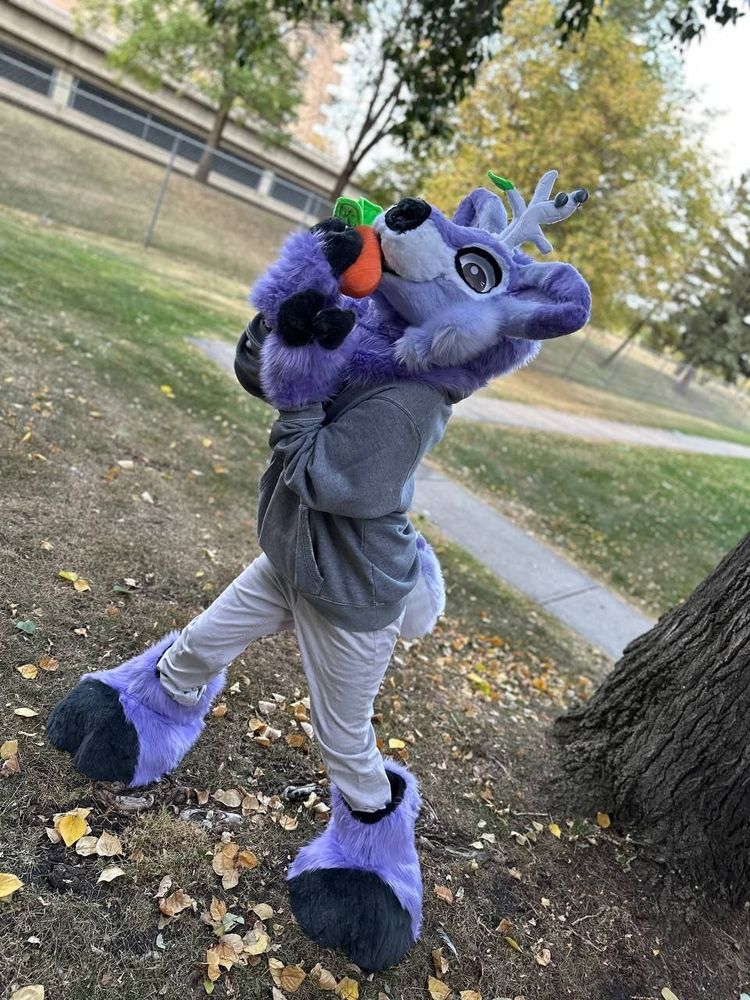 Purple elk partial enjoying a carrot