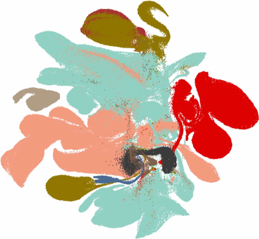 @humancellatlas