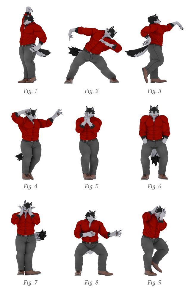 A Wolf doing his intepretation dance
