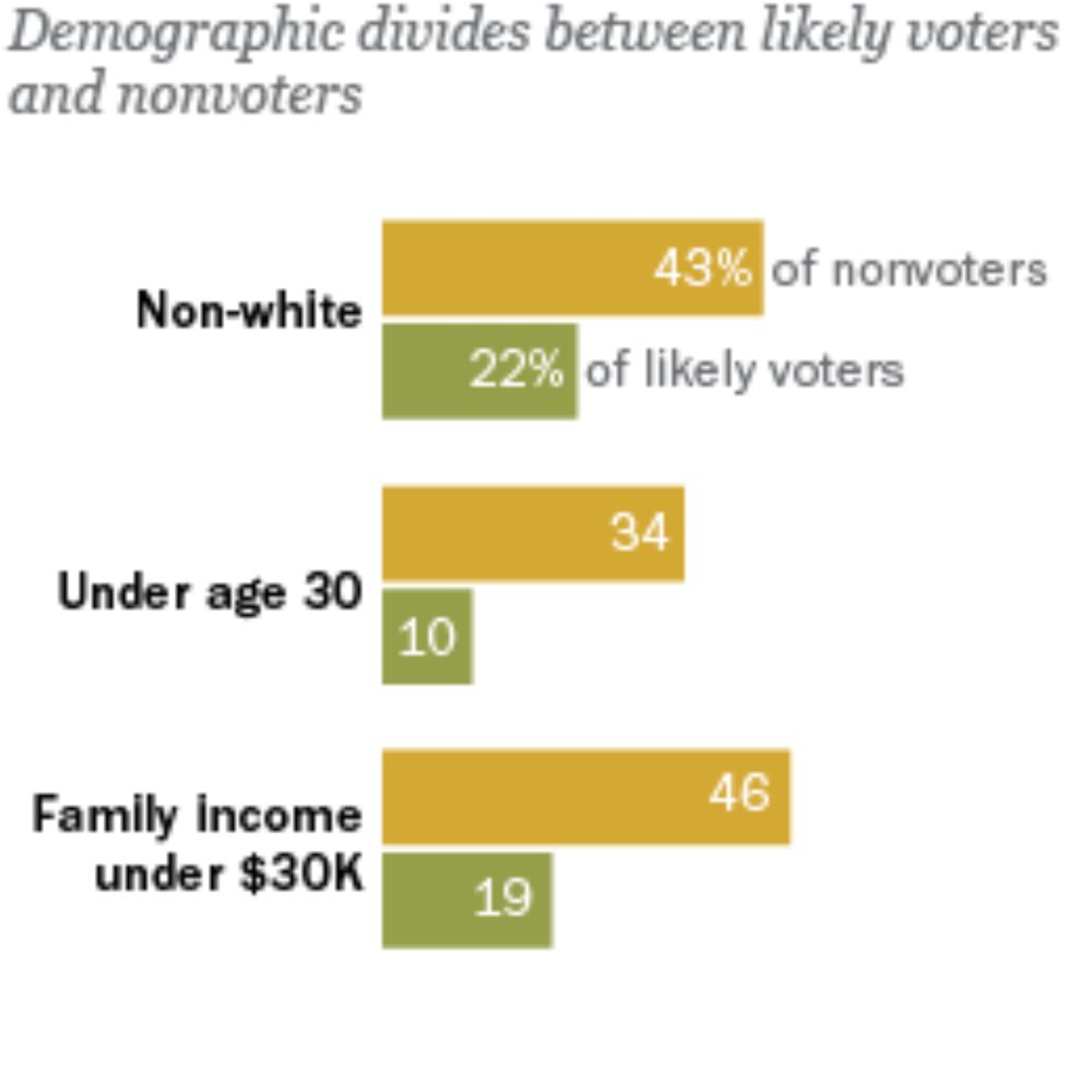 The Party of Nonvoters