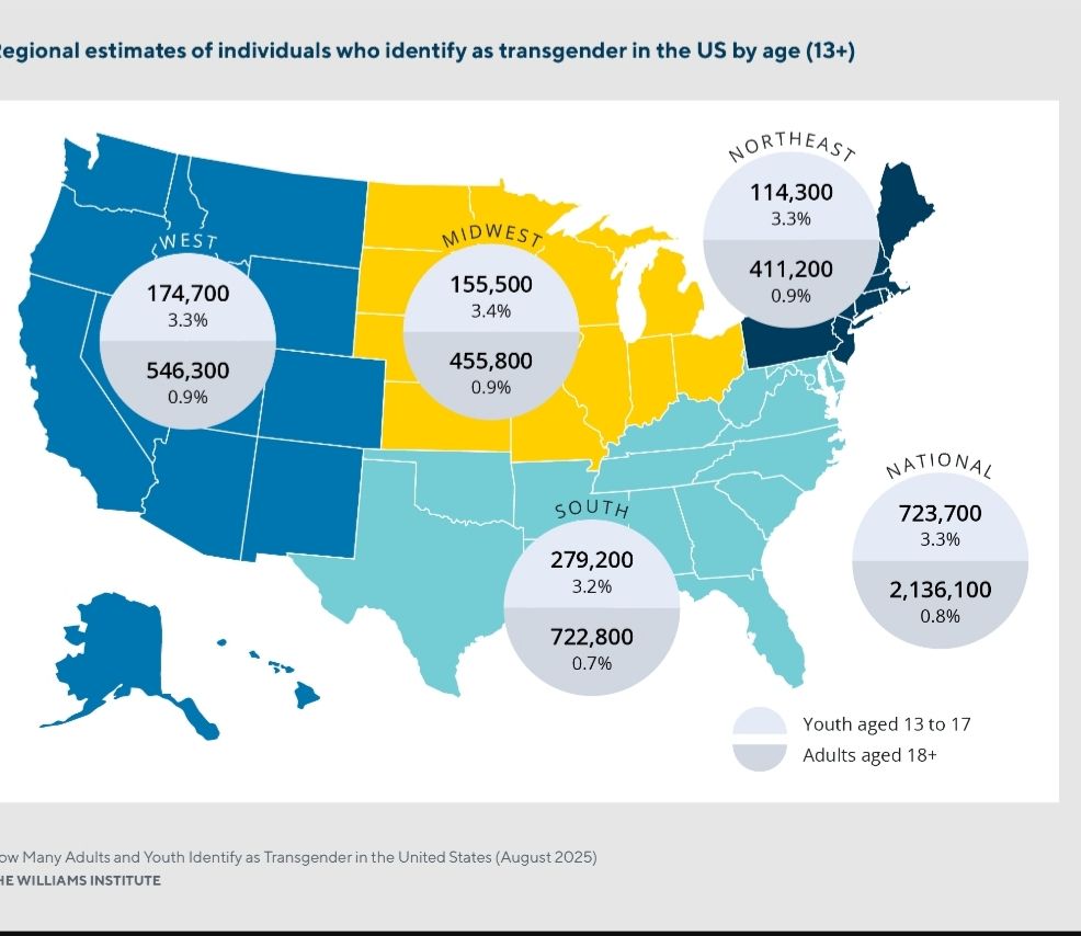 Screenshot from Williams Institute study showing estimates of trans demographics. The South has the largest numbers of trans adults and youth by a solid margin.