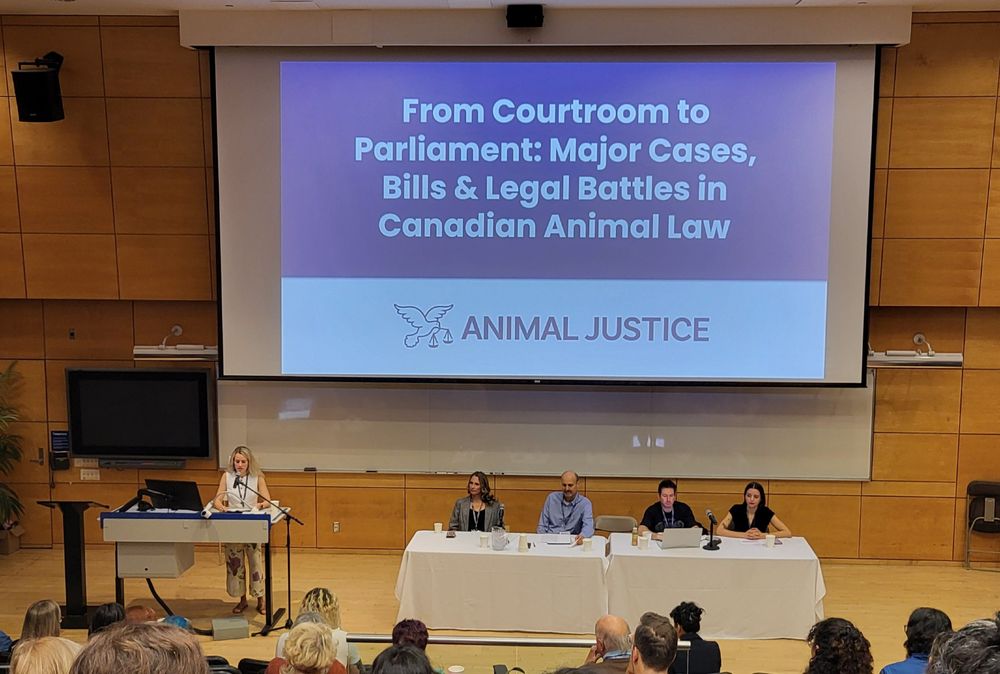 Panelists sit in front of a screen that reads From Courtroom to Parliament: Major Cases, Bills and Legal Battles in Canadian Animal Law.