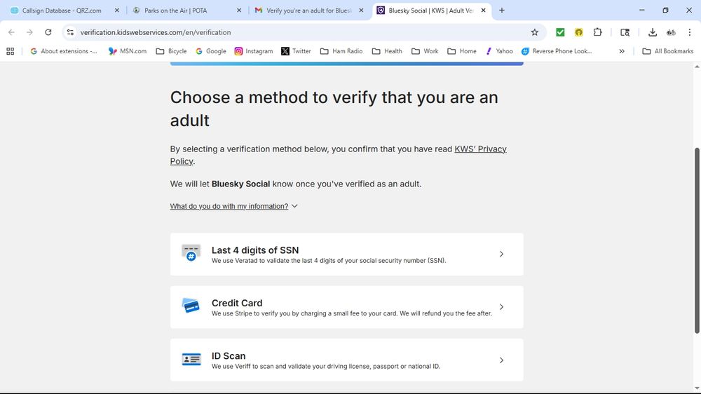 Image of a webpage claiming to ask for adult verification on behalf of Bluesky.