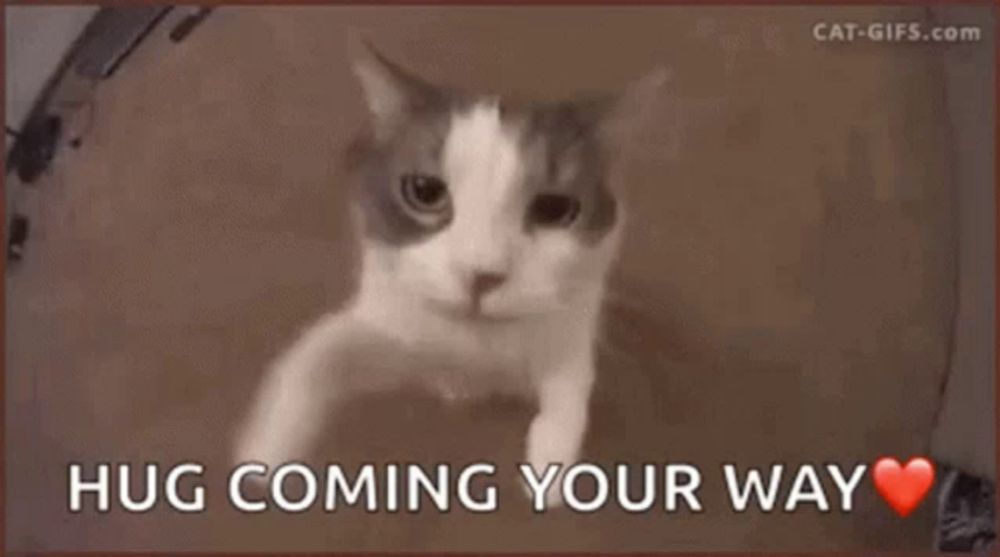 a picture of a cat with the words " hug coming your way "