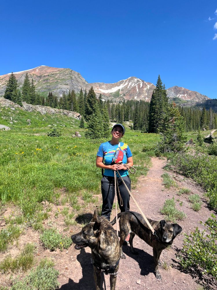 A picture of someone on a hike with two dogs