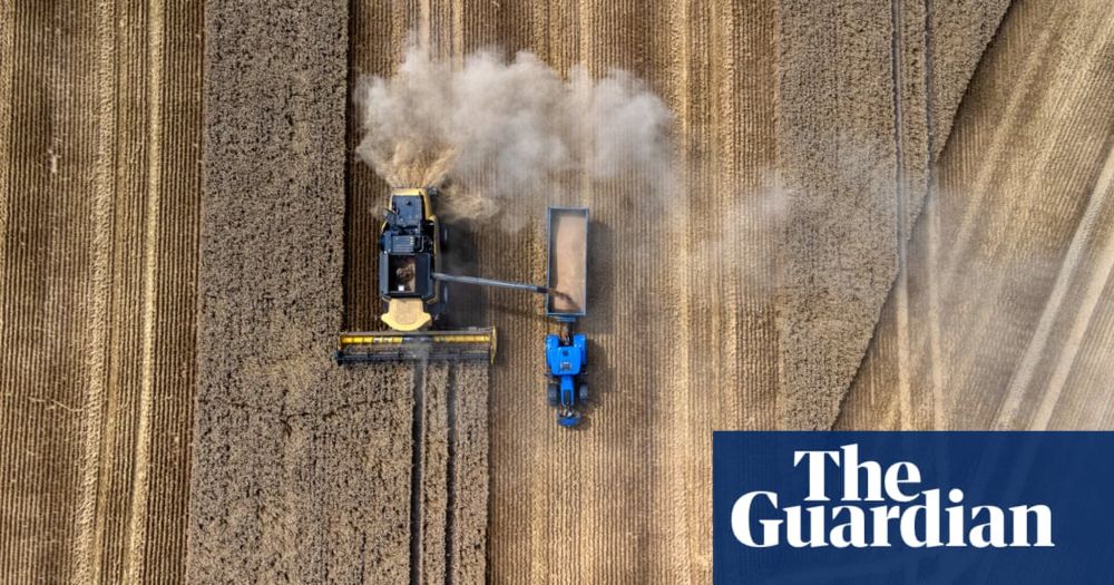 Farmers warn ‘crisis is building’ as record rainfall drastically reduces UK food production