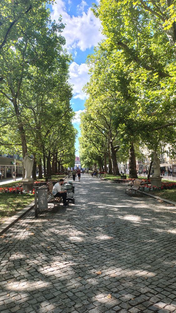 A picture of Hauptstraße in Dresden